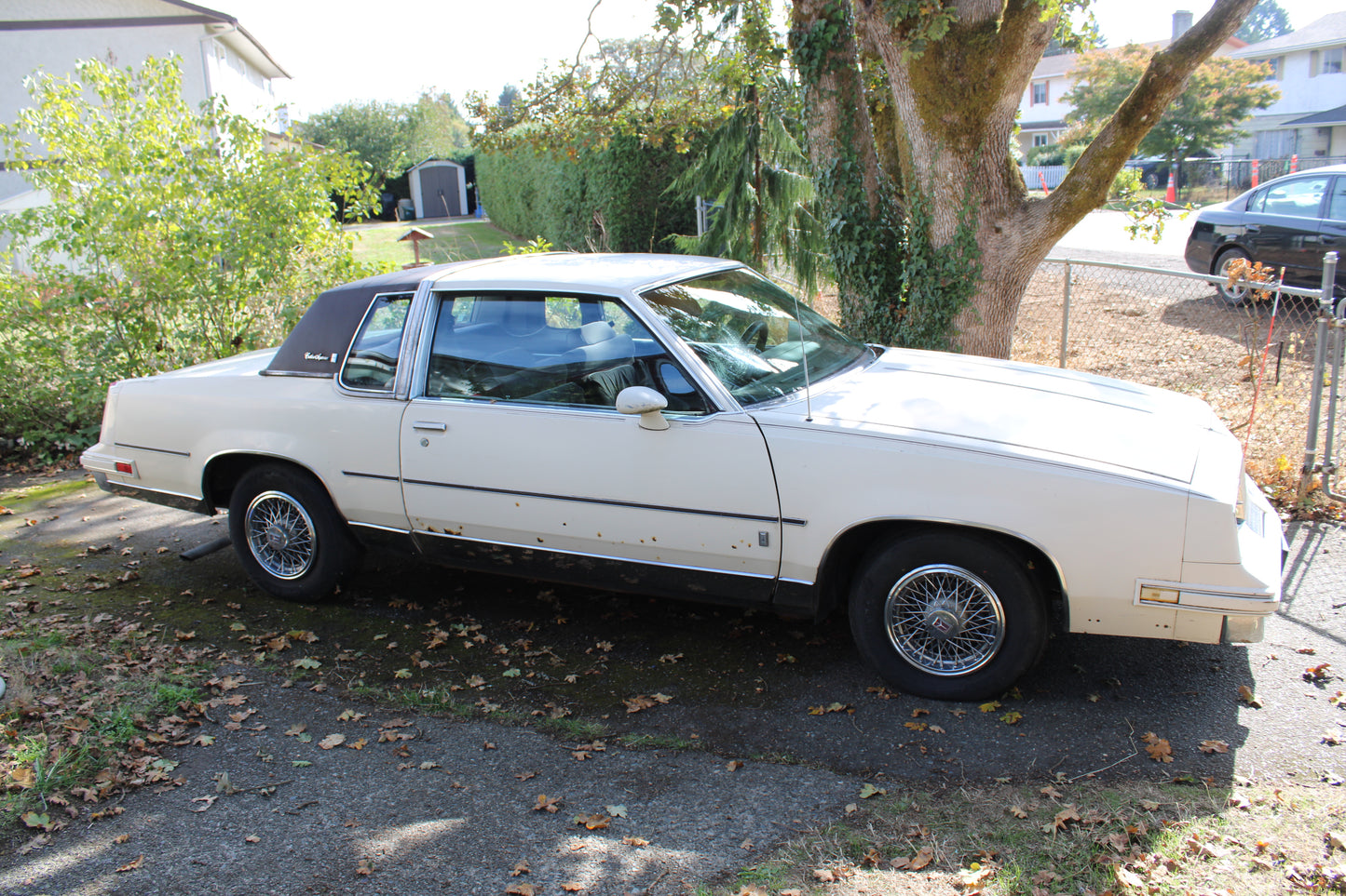 1983 Cutlass Supreme Brougham - Original Paint - Low Kms!