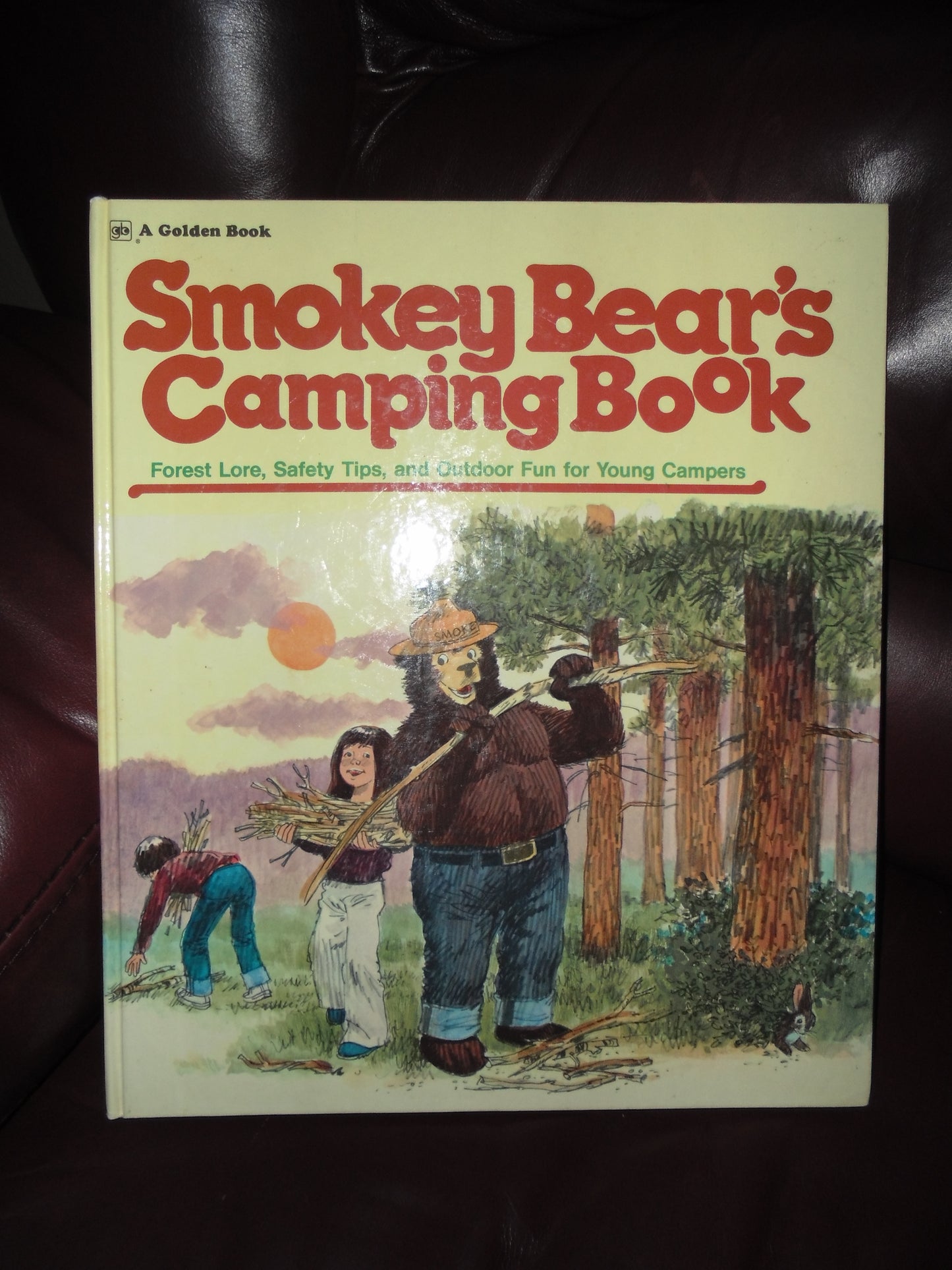 1976 SMOKEY BEAR'S CAMPING BOOK ISBN 0307157970