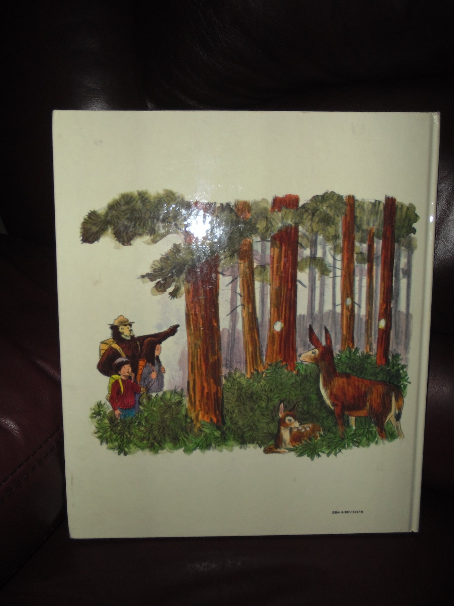 1976 SMOKEY BEAR'S CAMPING BOOK ISBN 0307157970