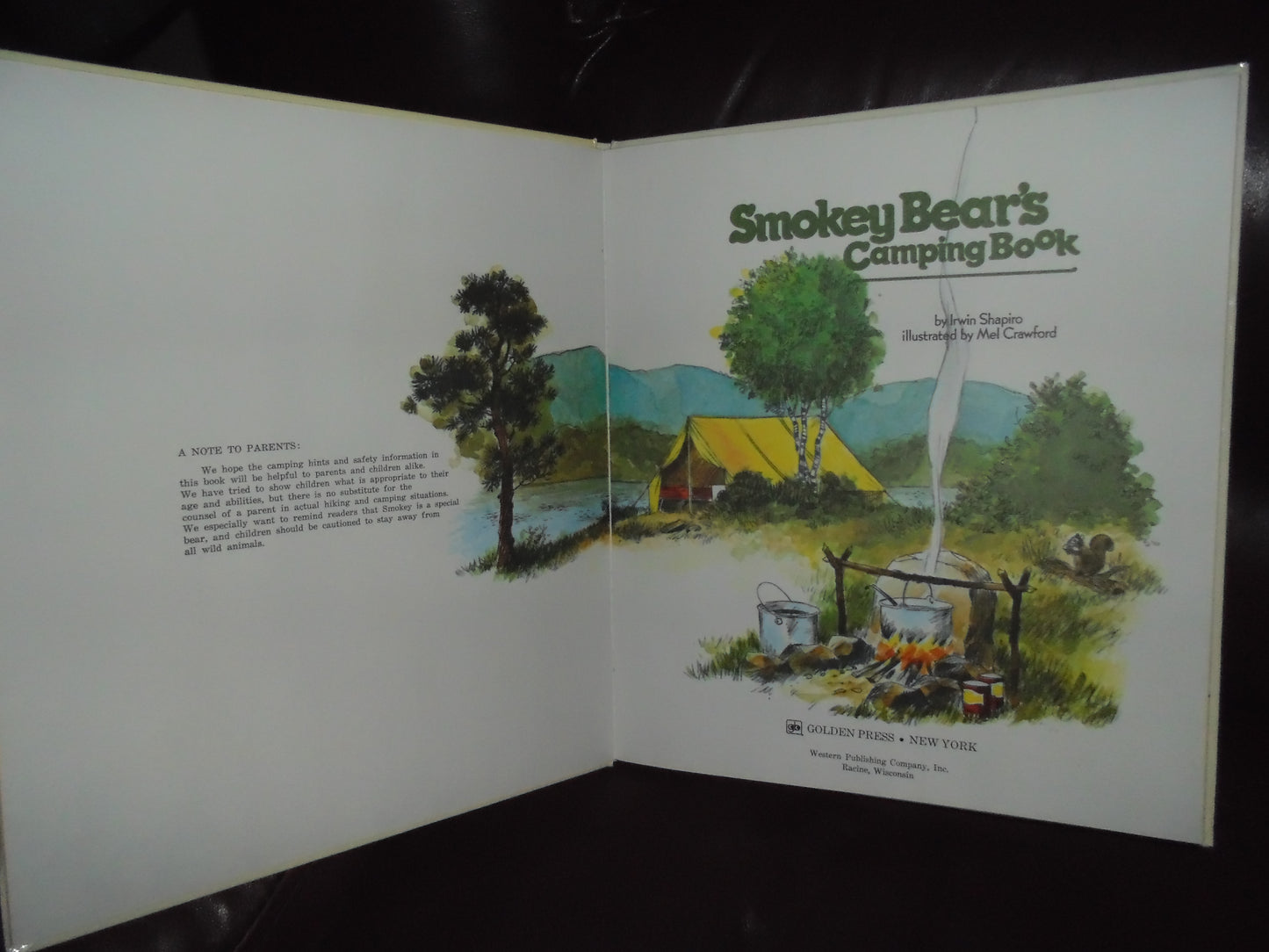 1976 SMOKEY BEAR'S CAMPING BOOK ISBN 0307157970