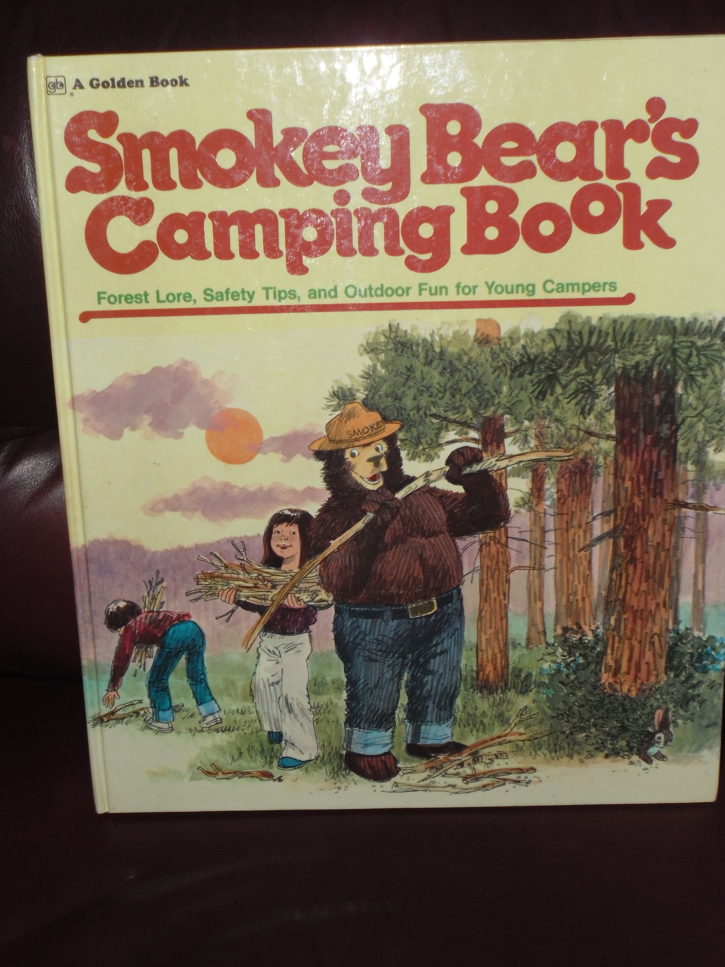 1976 SMOKEY BEAR'S CAMPING BOOK ISBN 0307157970