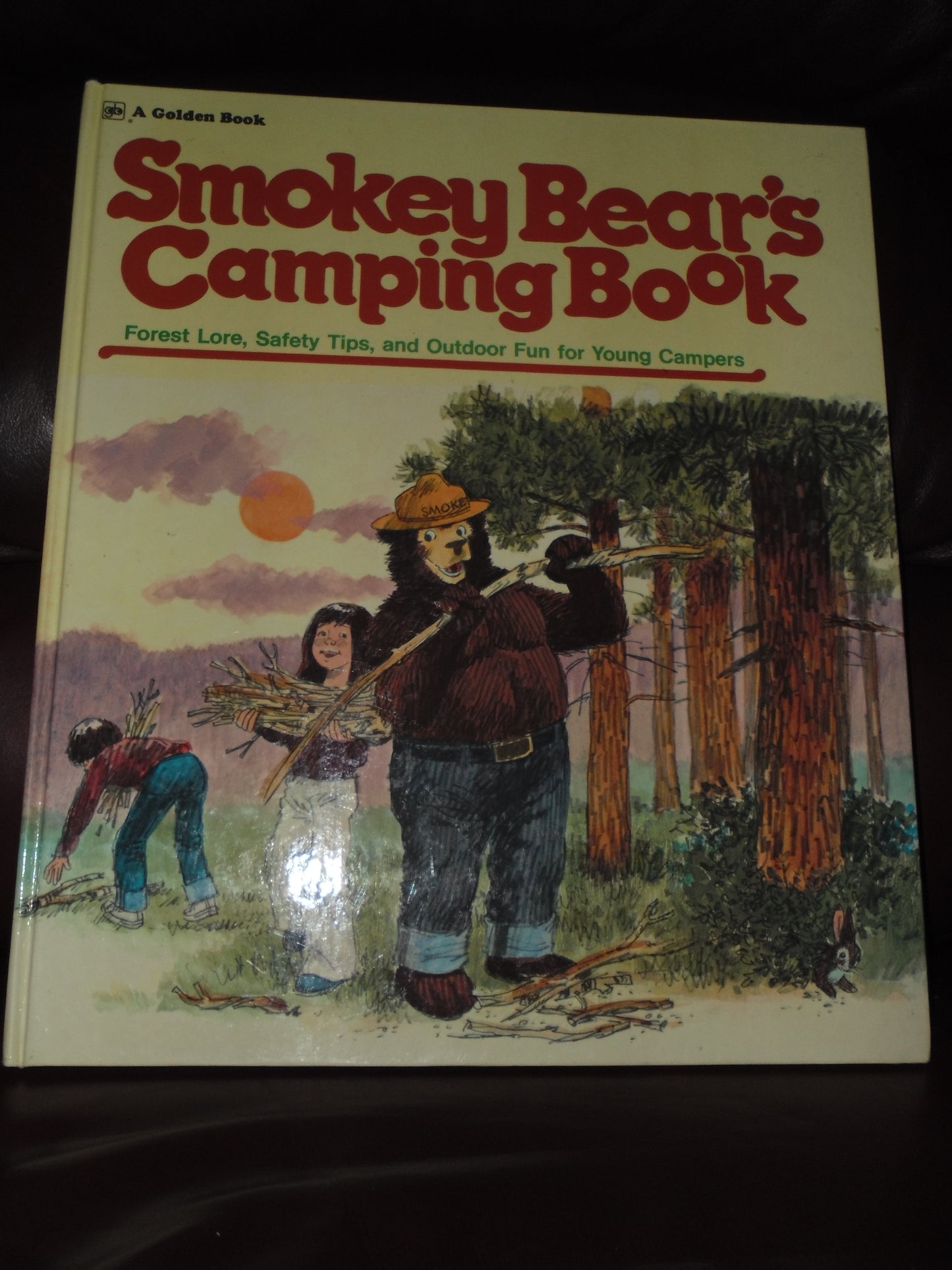 1976 SMOKEY BEAR'S CAMPING BOOK ISBN 0307157970